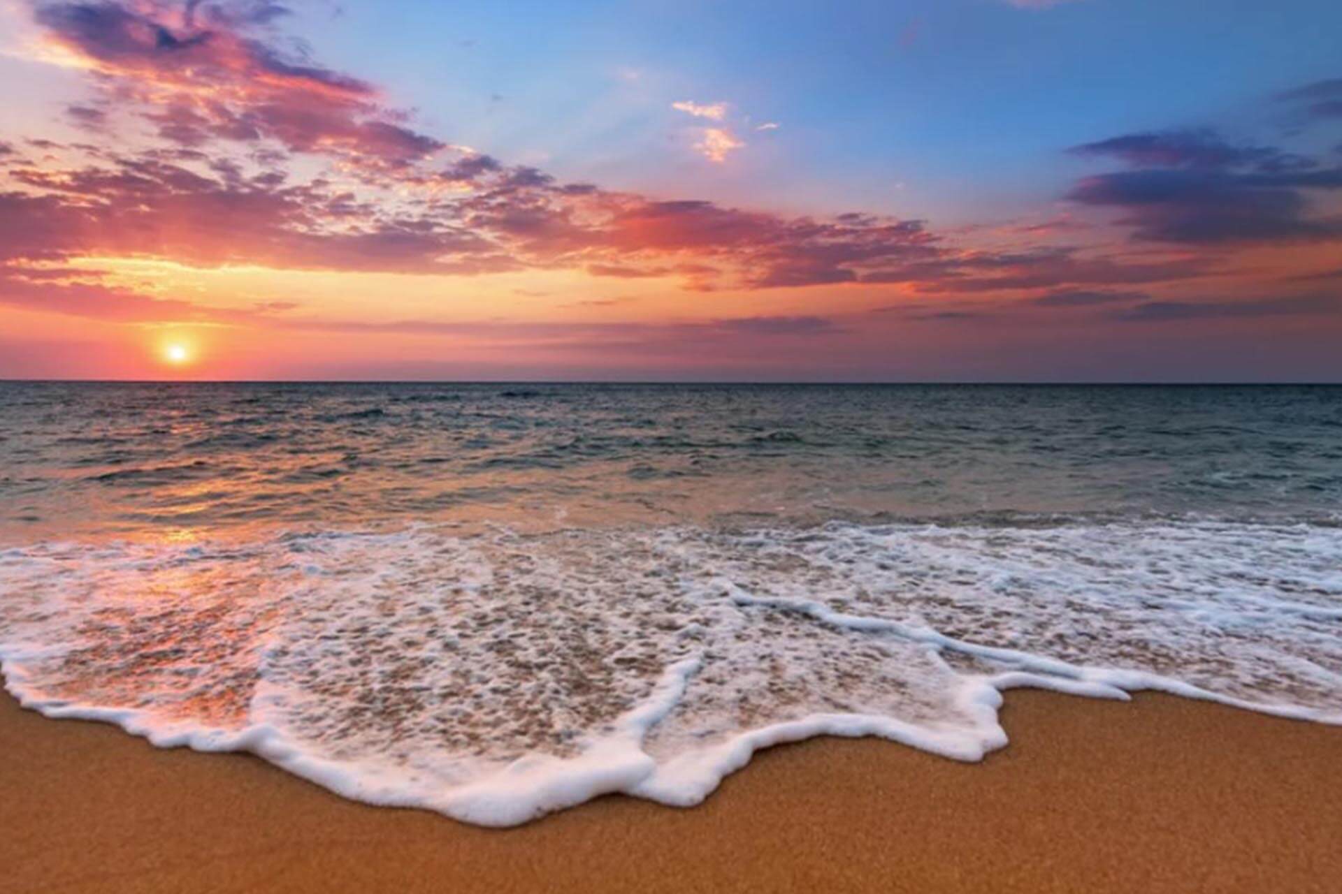 We Are Oceans: Salt’s Vital Role in Human History