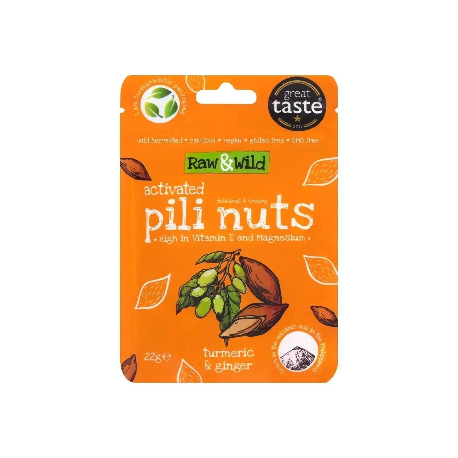 Pili Nuts Turmeric & Ginger Raw & Wild 22g x12 raw & wild Snacks 03200015