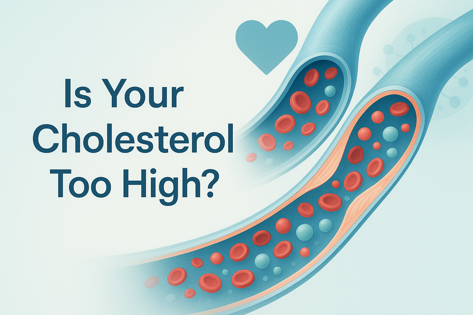 Health guide explaining high cholesterol risks and cardiovascular disease prevention