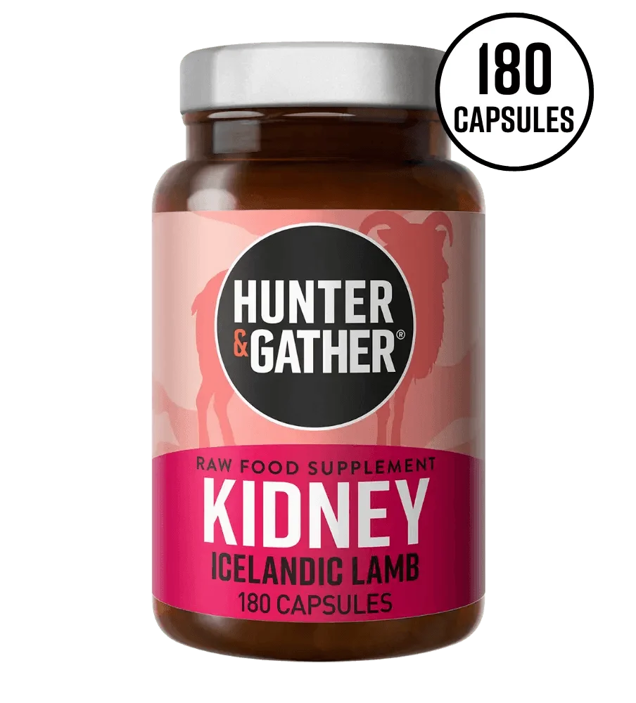 Kidney Iceland Lamb Hunter & Gather x90 hunter & gather  00900031