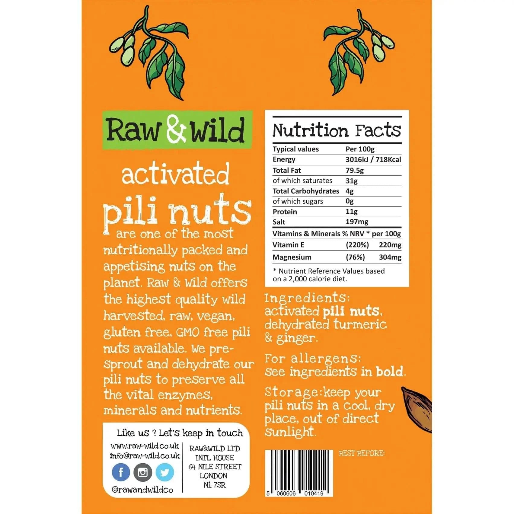 Pili Nuts Turmeric & Ginger Raw & Wild 22g raw & wild Snacks 03200009